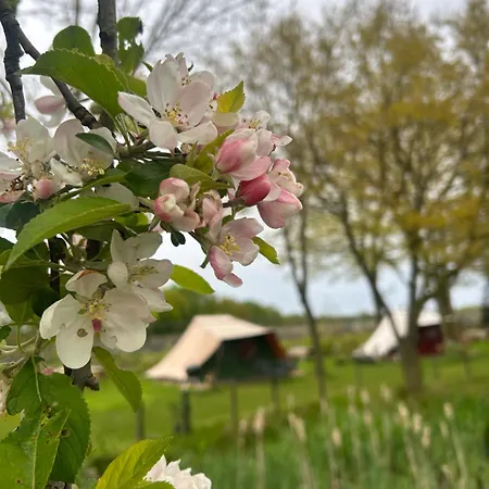 Kampeerbeleving Dijksehoeve * Nistelrode