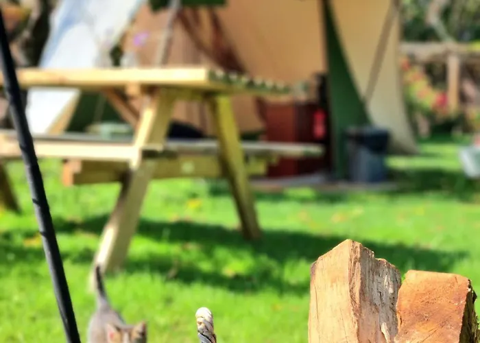 Kampeerbeleving Dijksehoeve Campingplatz Nistelrode