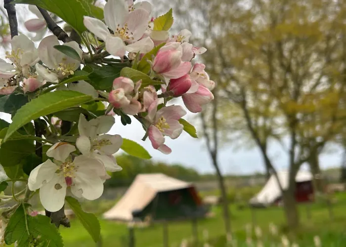 Kampeerbeleving Dijksehoeve * Nistelrode