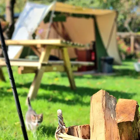 Kampeerbeleving Dijksehoeve 营地 Nistelrode